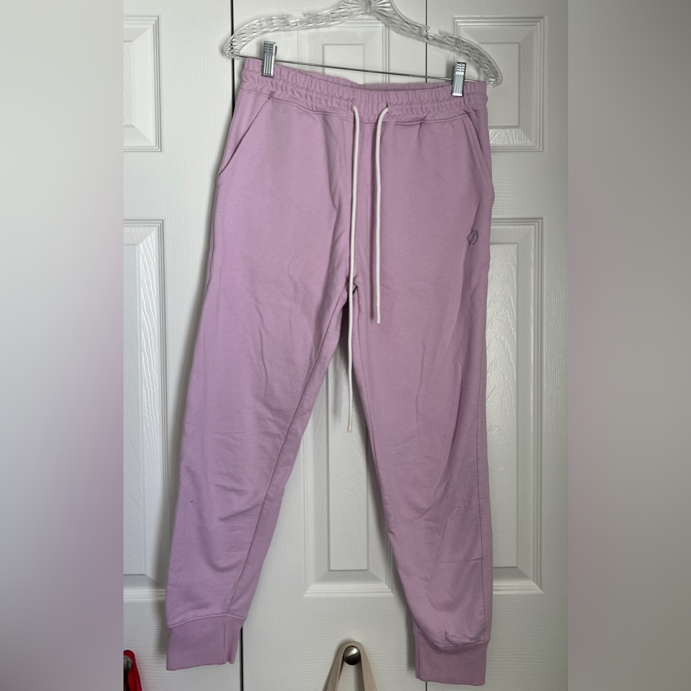 Urban Outfitters Standard Cloth Jogger Pink/Purple